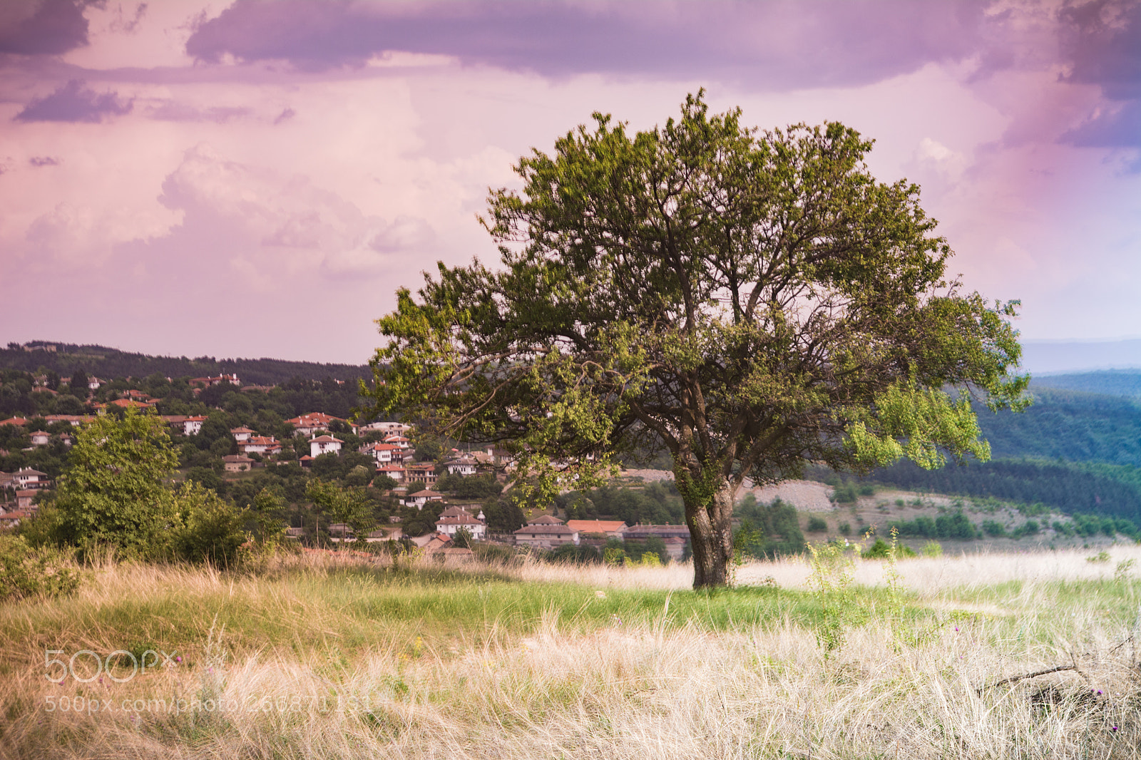 Nikon D5200 sample photo. Barry lyndon photography