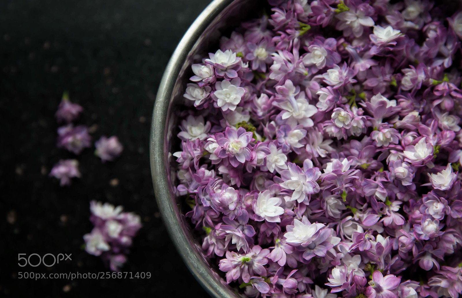 Canon EOS 6D sample photo. Untitled photography
