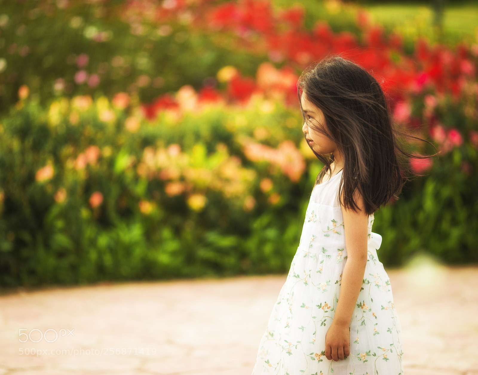 Canon EOS 6D sample photo. 漂亮的小女孩 photography