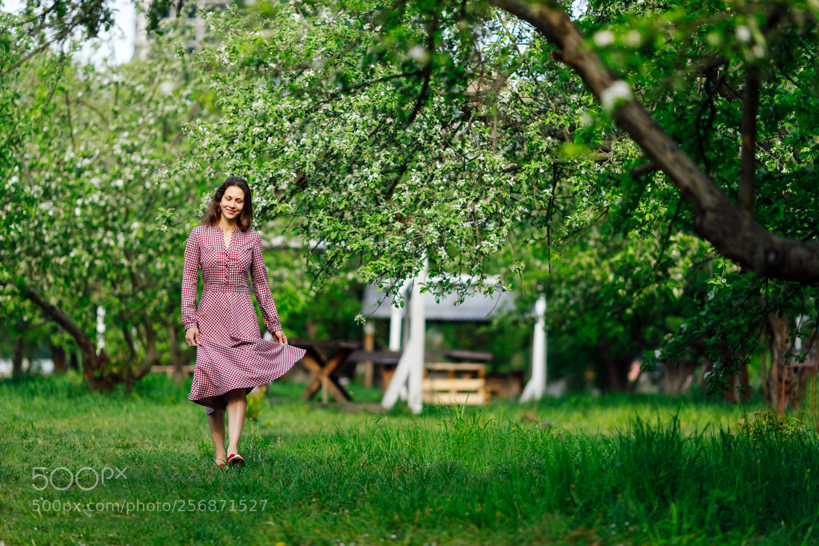 Canon EOS 5D Mark IV sample photo. Step to... photography