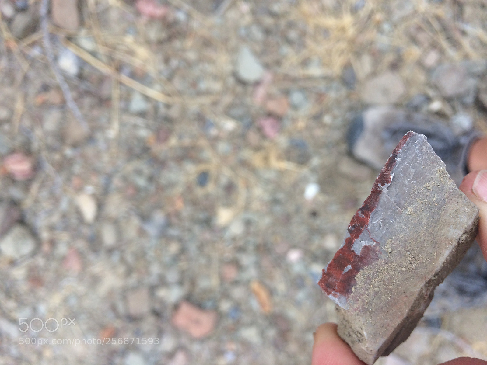 Apple iPhone 5s sample photo. Img photography