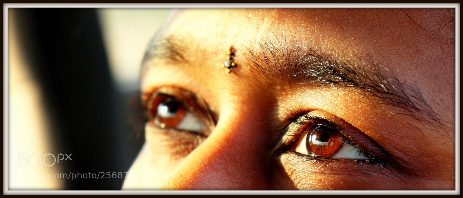 Canon EOS 800D (EOS Rebel T7i / EOS Kiss X9i) sample photo. Brown eyes photography