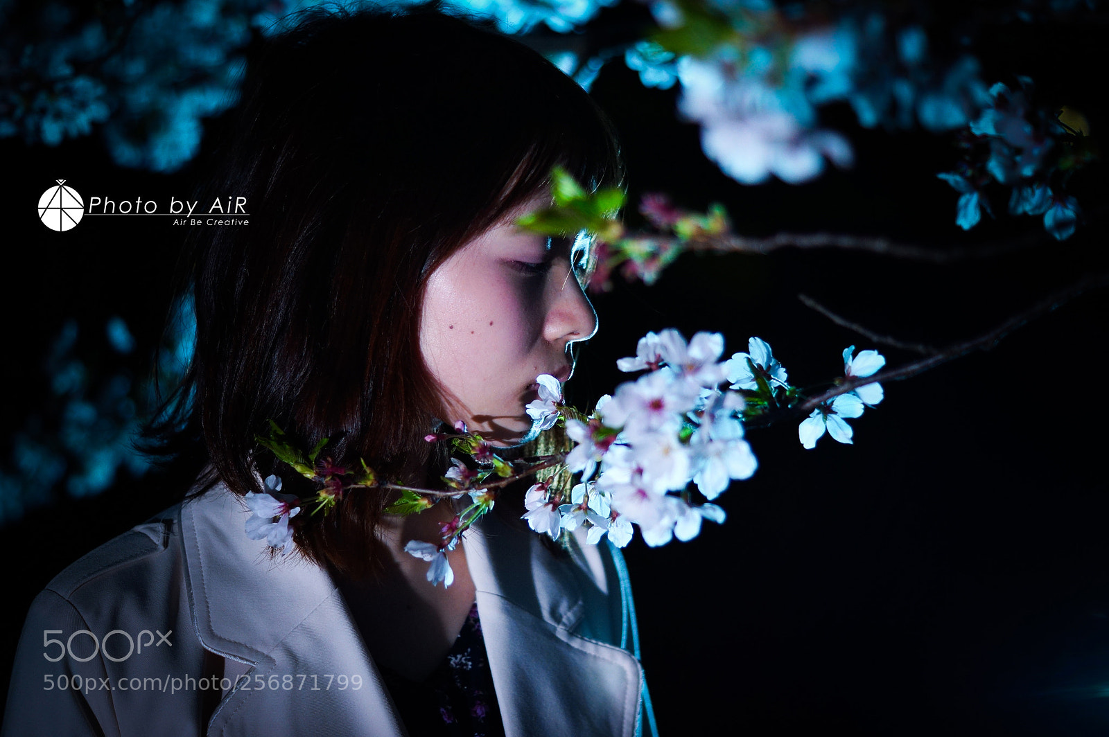 Sony SLT-A77 sample photo. In the spring night photography