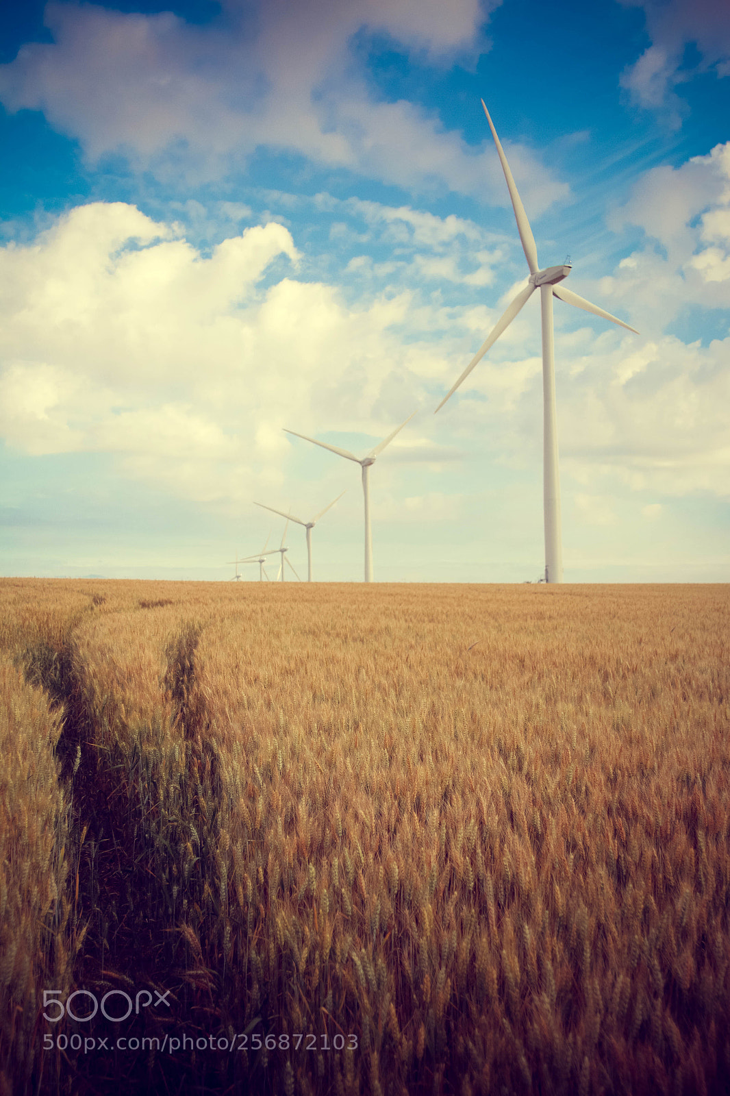Canon EOS 70D sample photo. Wind turbine field photography