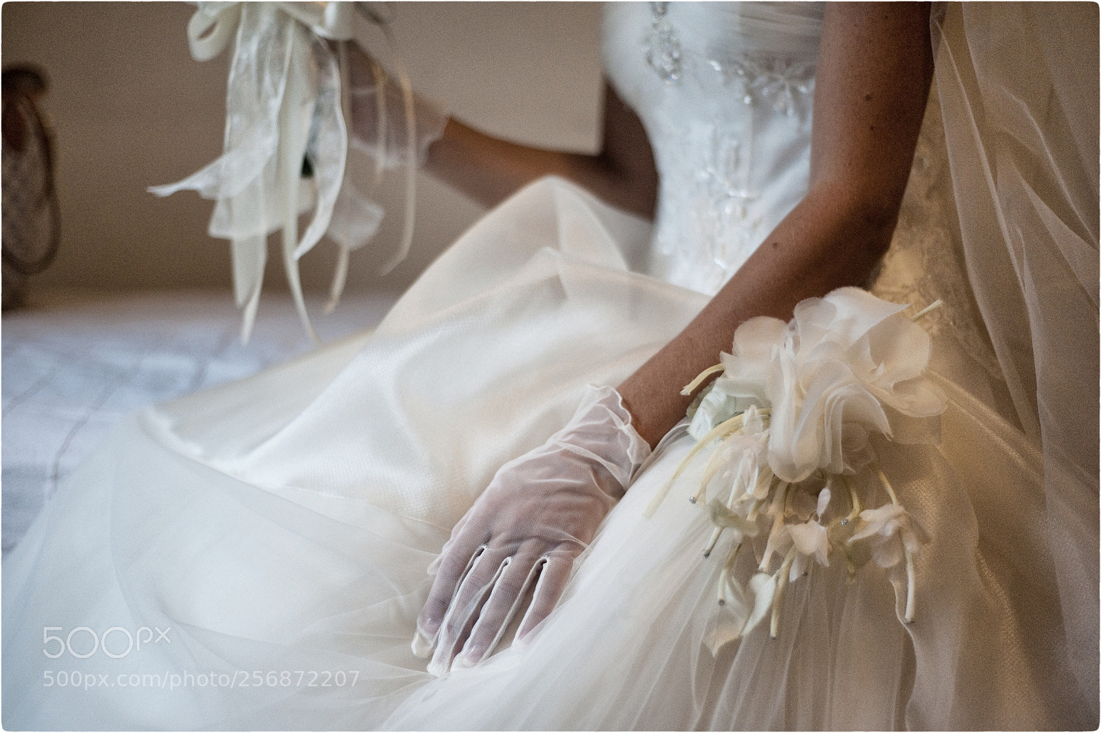 Nikon D700 sample photo. Untitled photography