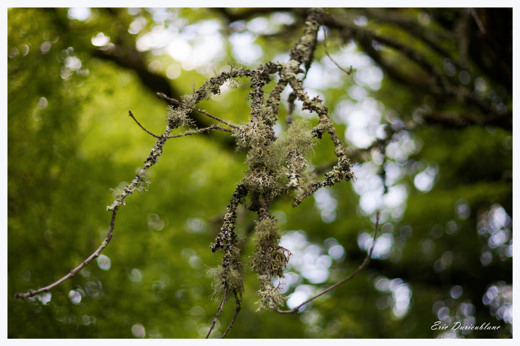 Canon EOS-1D Mark II sample photo