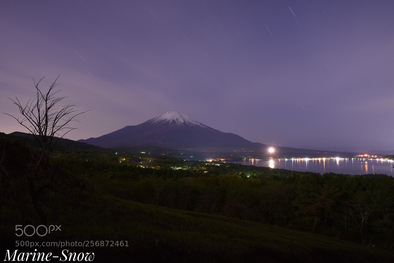 Nikon D7200 sample photo. Mt.fuji lit by moonlight photography