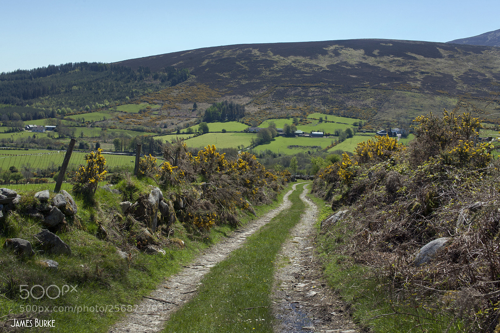 Canon EOS 5D sample photo. Blackstairs mountains photography