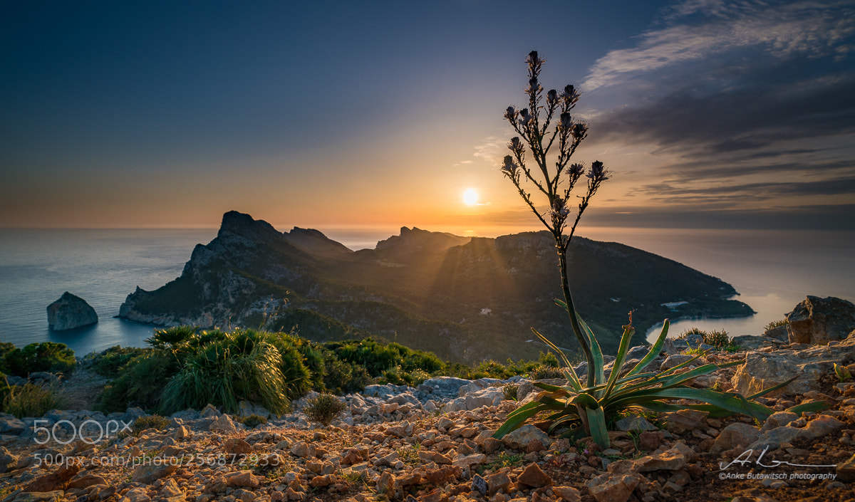 Sony a7R II sample photo. Cap formentor 1 photography