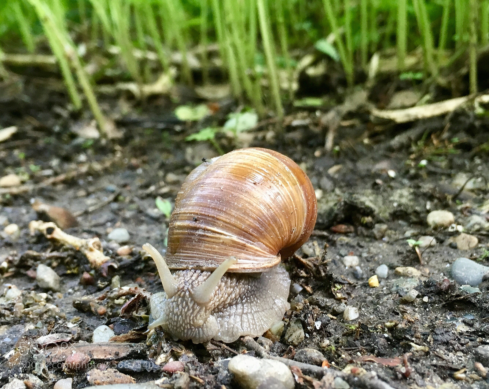 Apple iPhone SE sample photo. Untitled photography