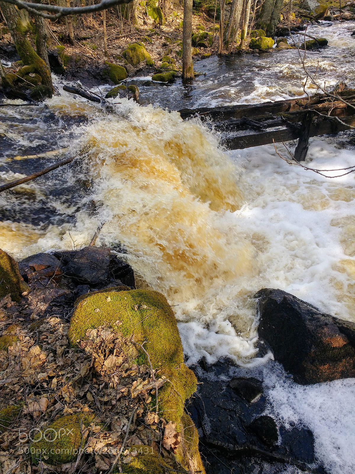 Motorola MotoG3 sample photo. Spring water photography