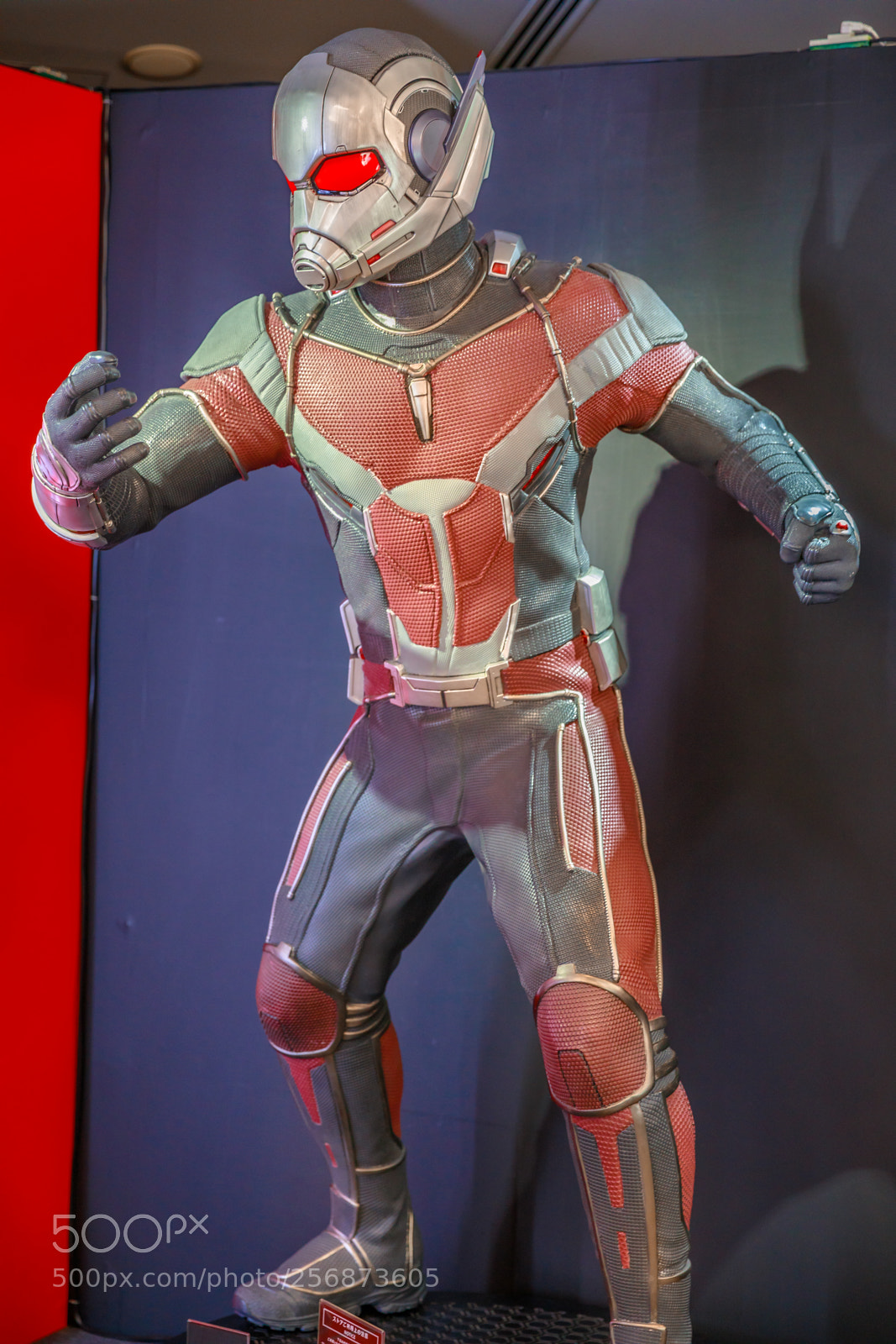 Canon EOS 5D Mark IV sample photo. Ant man marvel photography