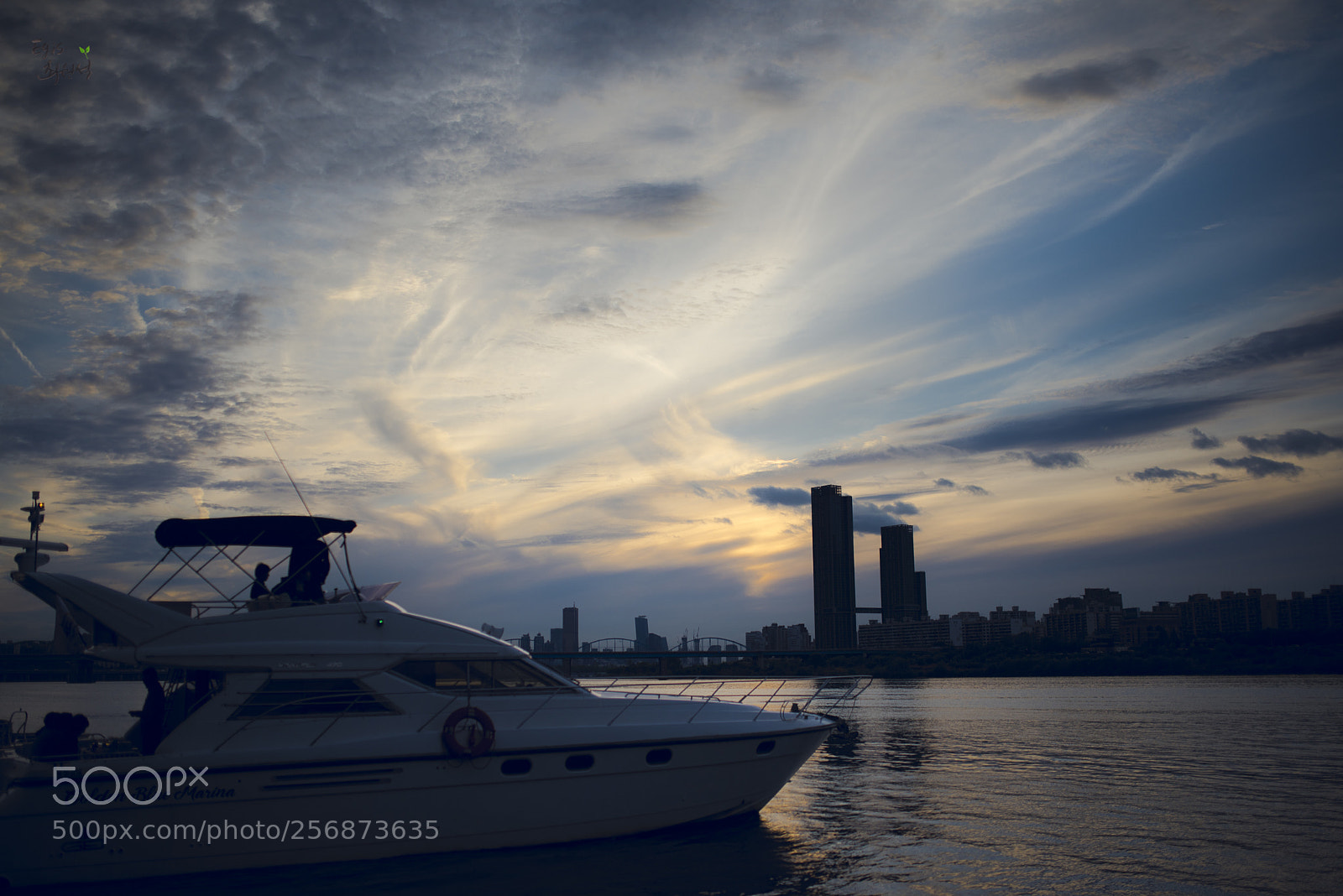 Nikon D810 sample photo. Banpo bridge in south photography