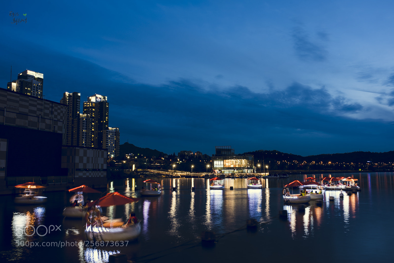 Nikon D810 sample photo. Banpo bridge in south photography