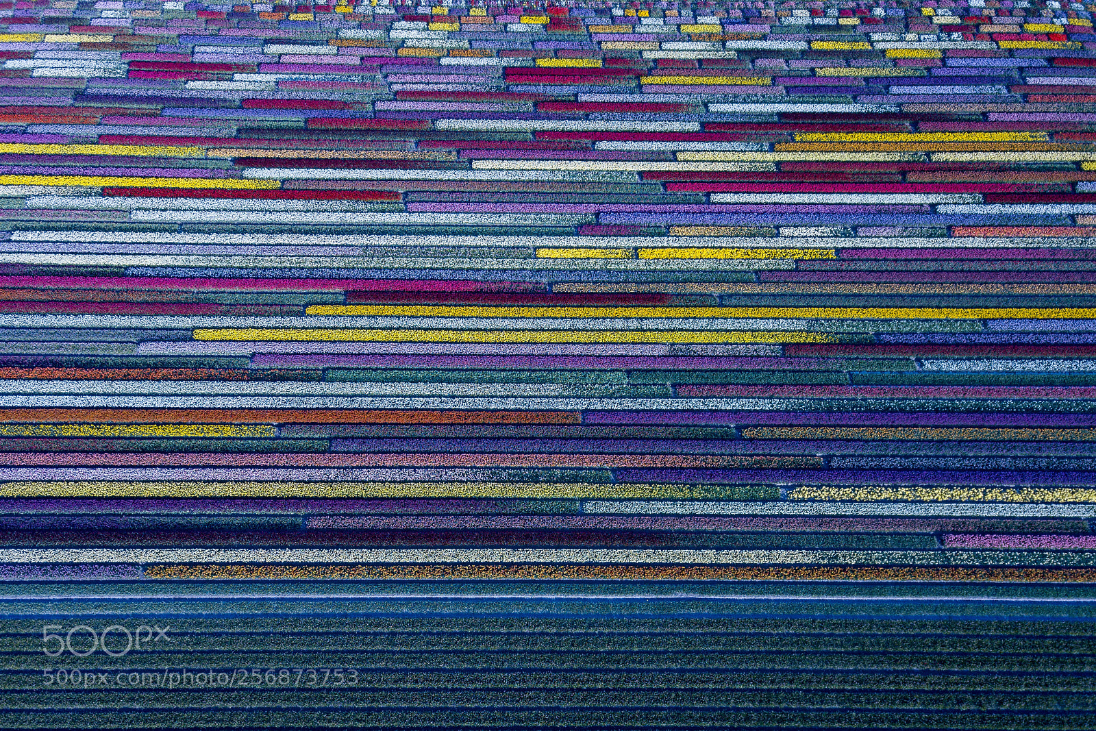 DJI FC220 sample photo. Patchwork  photography