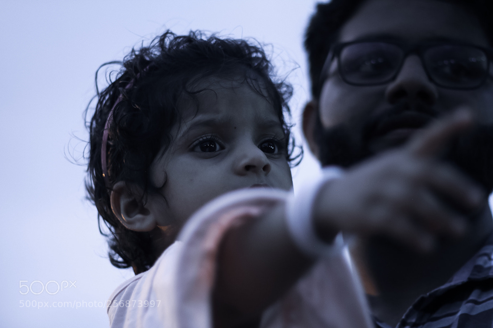 Canon EOS 70D sample photo. Glowing eyes of a photography