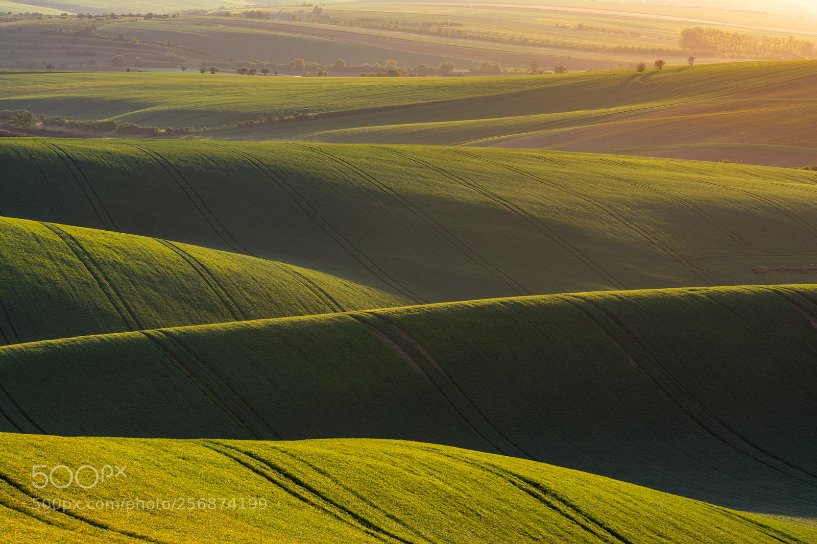 Nikon D7100 sample photo. South moravia photography