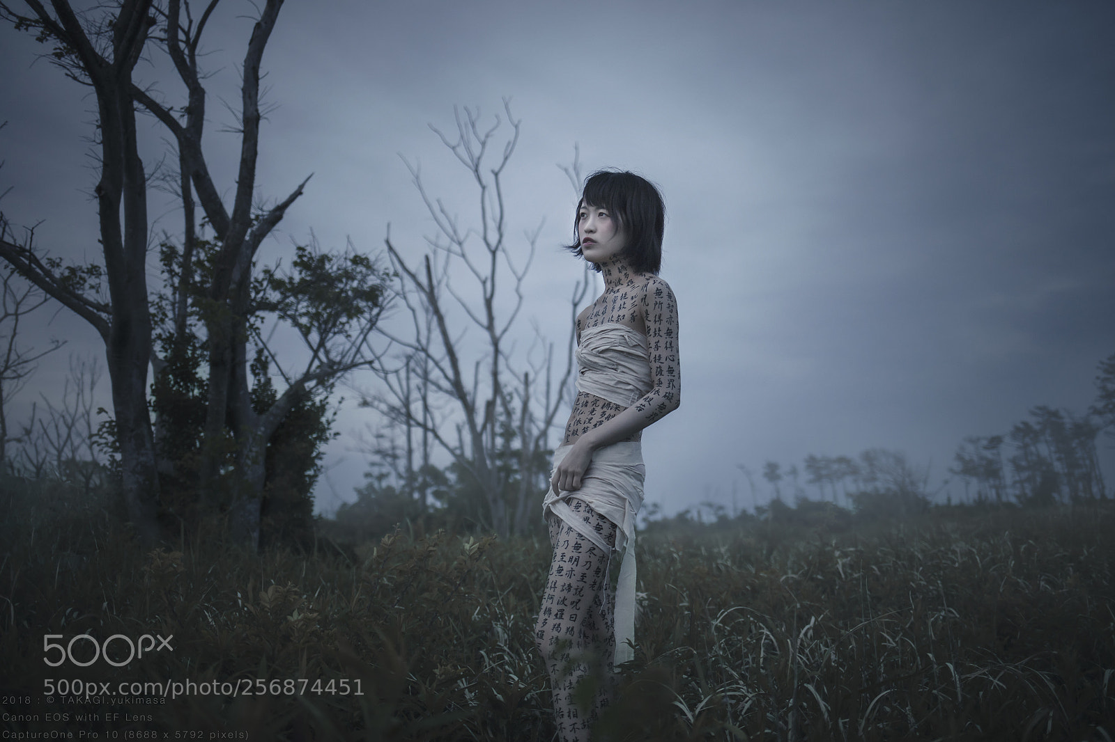 Canon EOS 5DS R sample photo. Grudge the obey photography