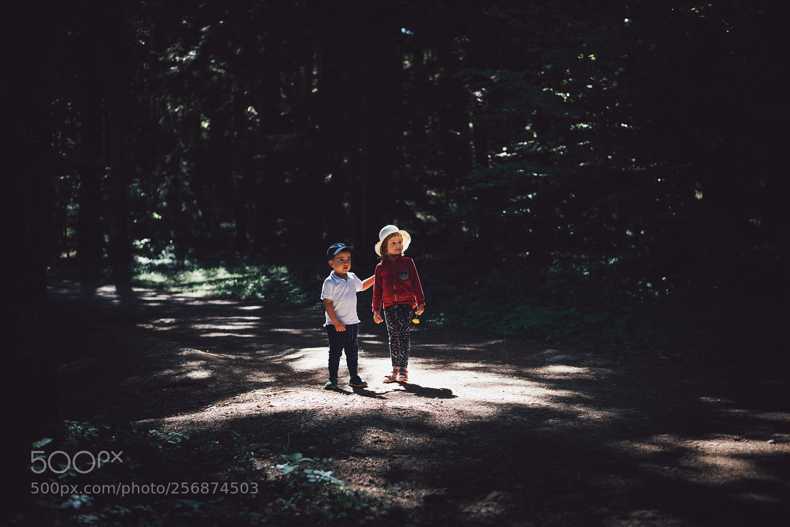 Nikon D750 sample photo. Hänsel and gretel photography