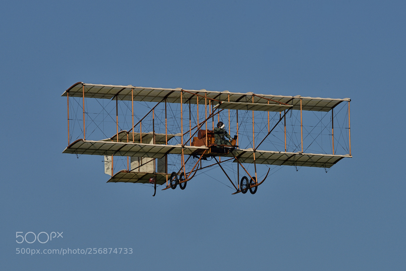 Nikon D810 sample photo. Bristol boxkite photography