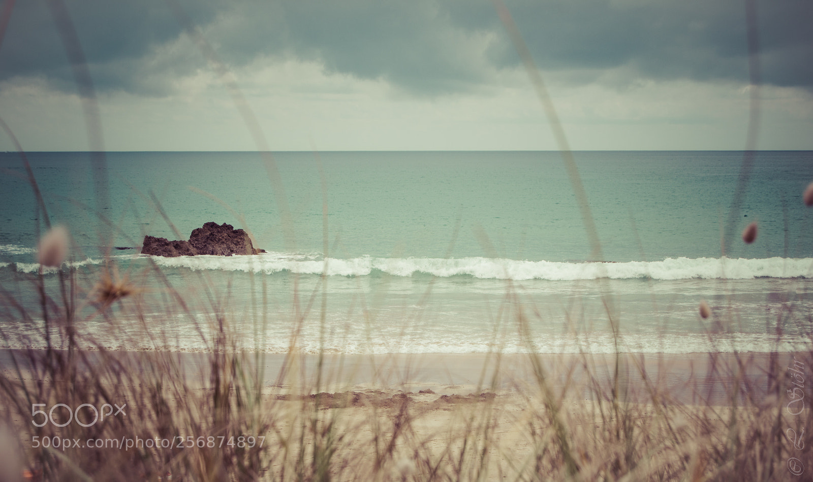 Nikon D3100 sample photo. Memories of summer days photography