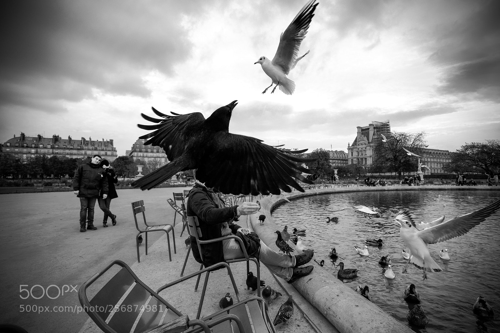 Fujifilm X-Pro2 sample photo. F180502 photography