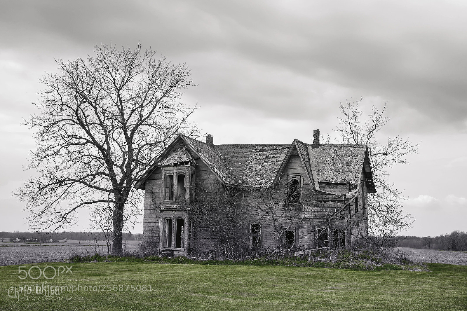 Canon EOS 6D sample photo. Growth and decay photography