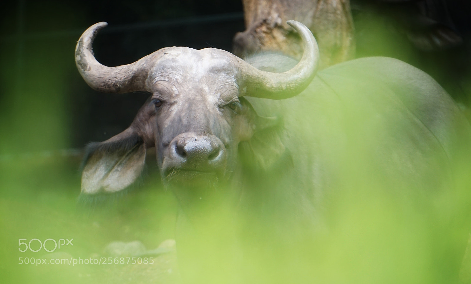 Sony a6000 sample photo. Portrait pose photography