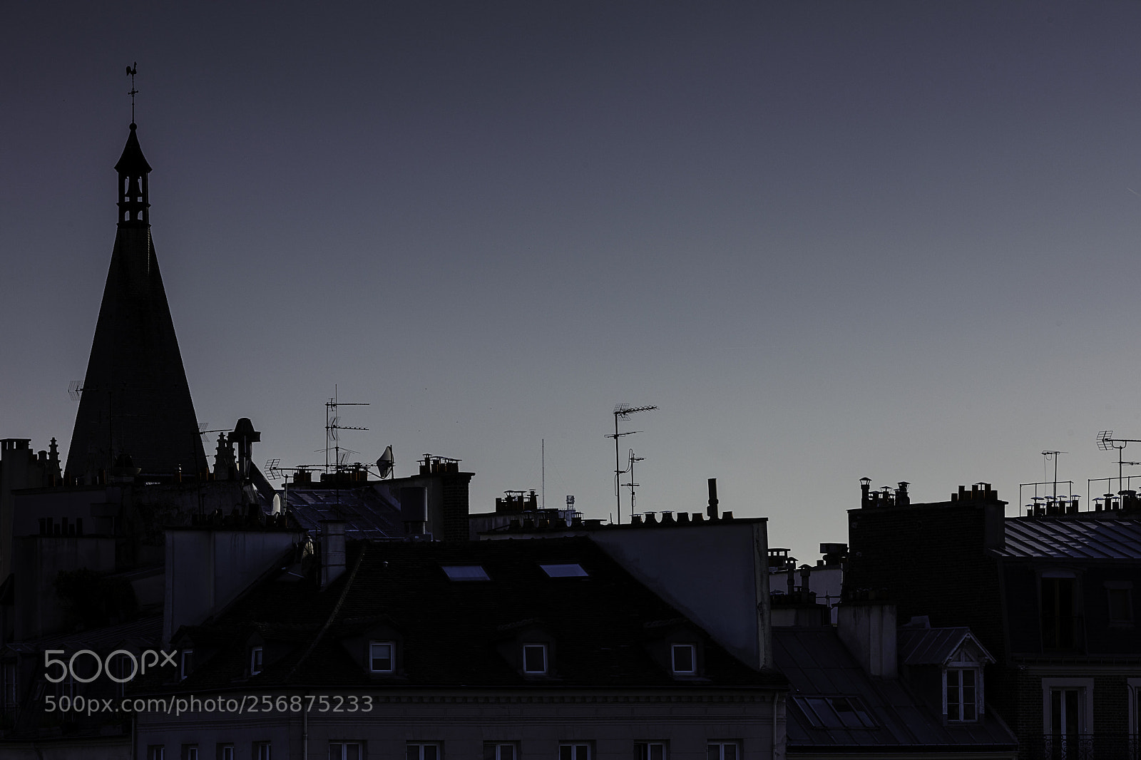 Canon EOS 5D Mark IV sample photo. Roofs of paris photography