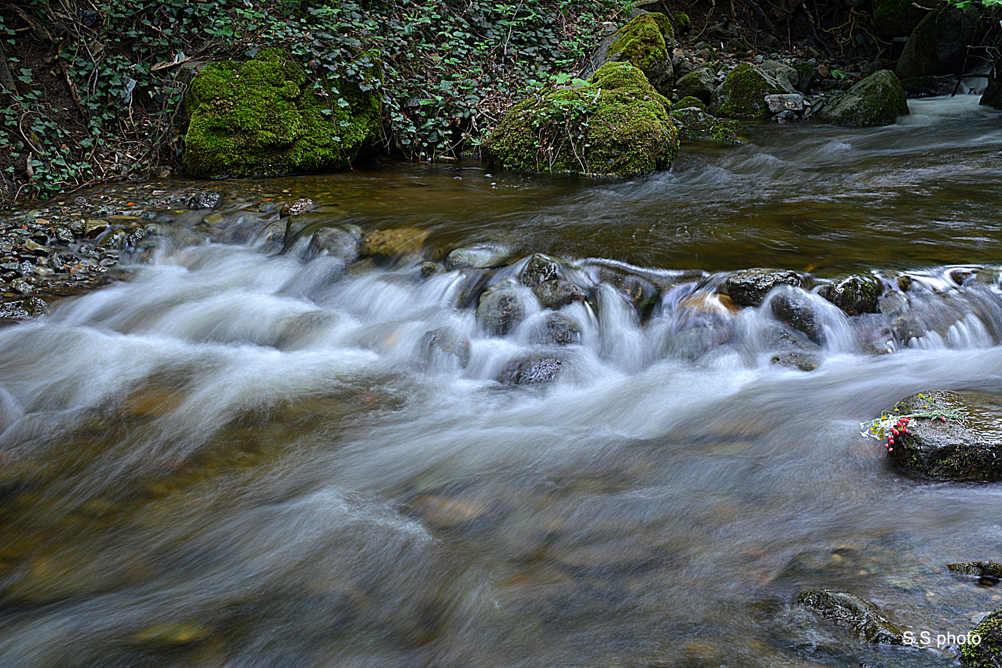 Nikon D7100 sample photo