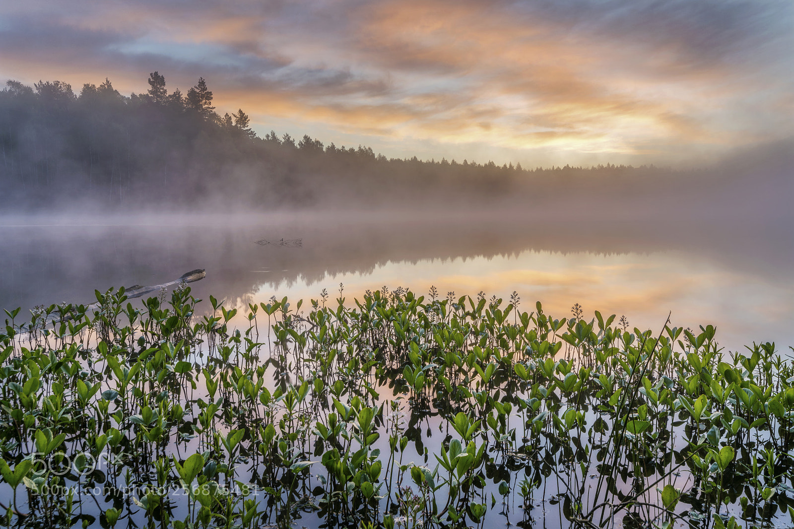 Nikon D5200 sample photo. Lake in the forest photography