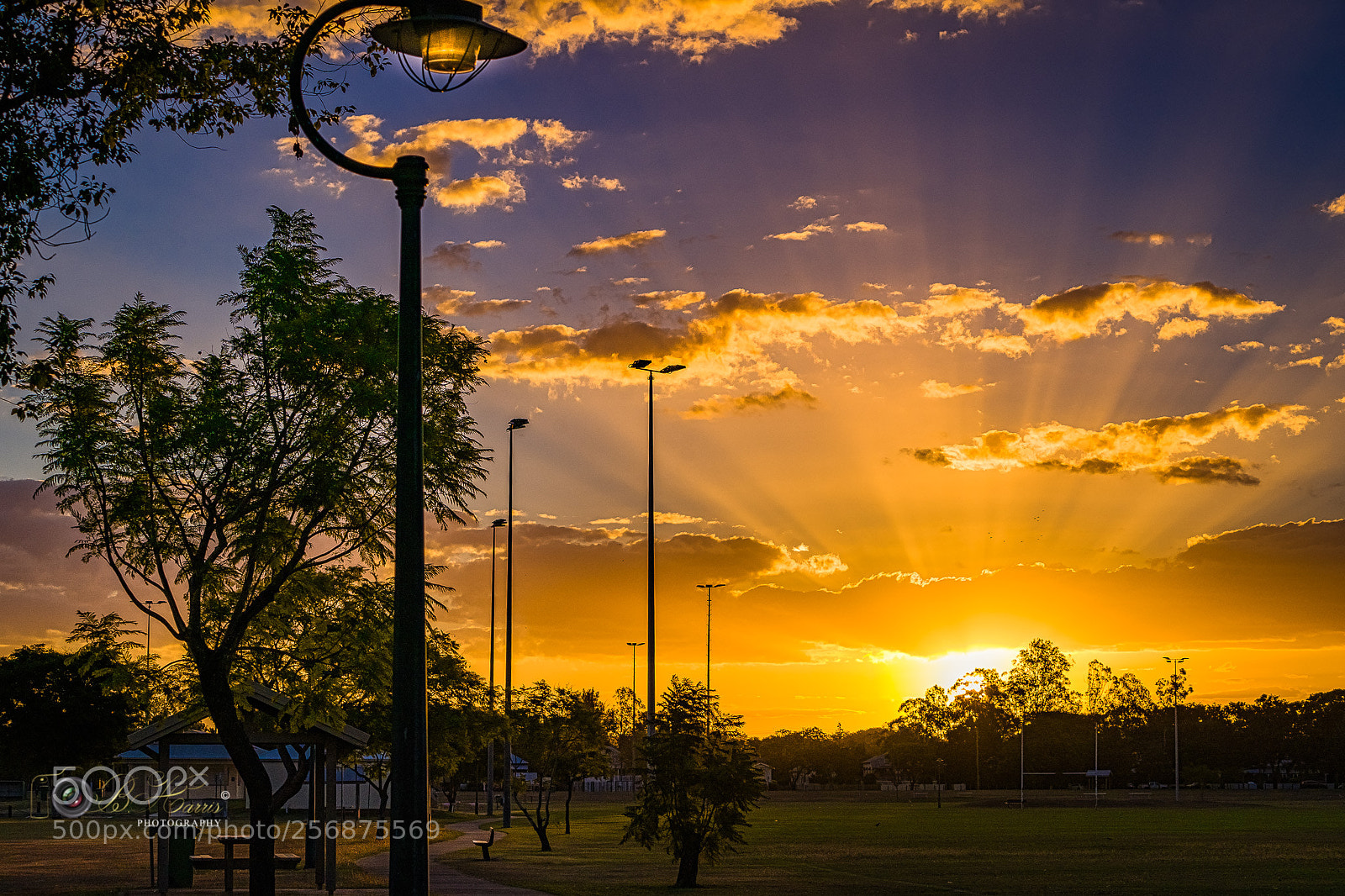 Sony a7 III sample photo. Sunset, laidley recreation grounds photography
