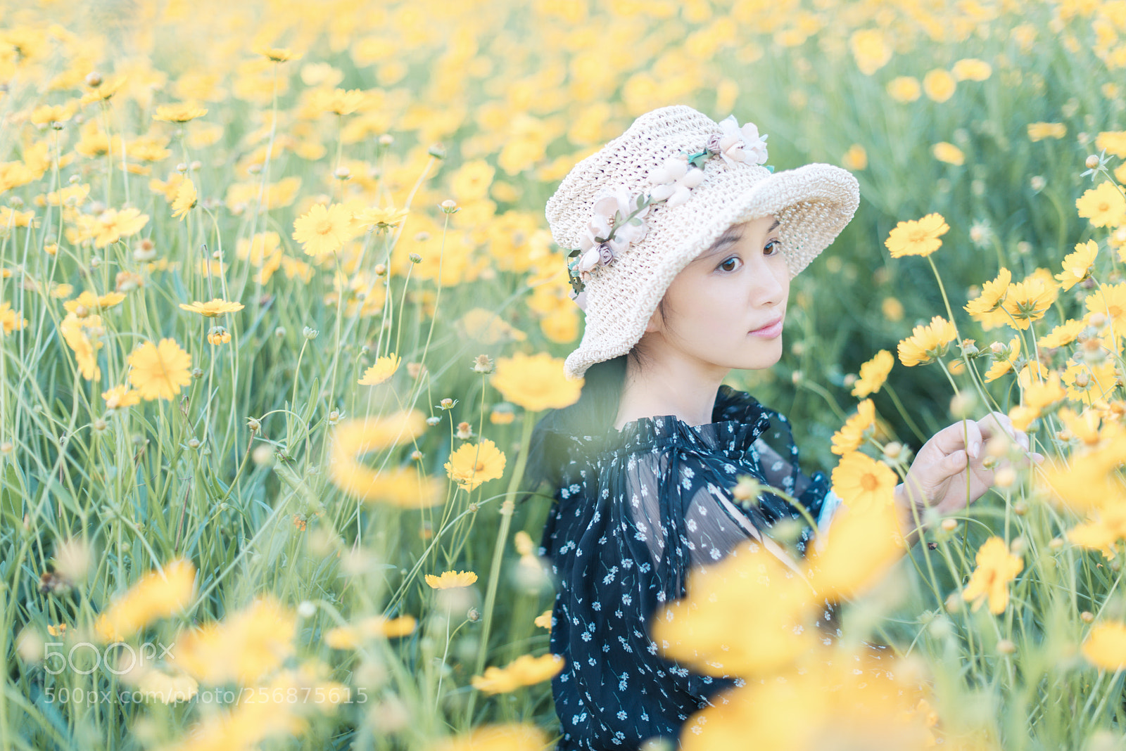 Nikon D800 sample photo. 夏天 photography