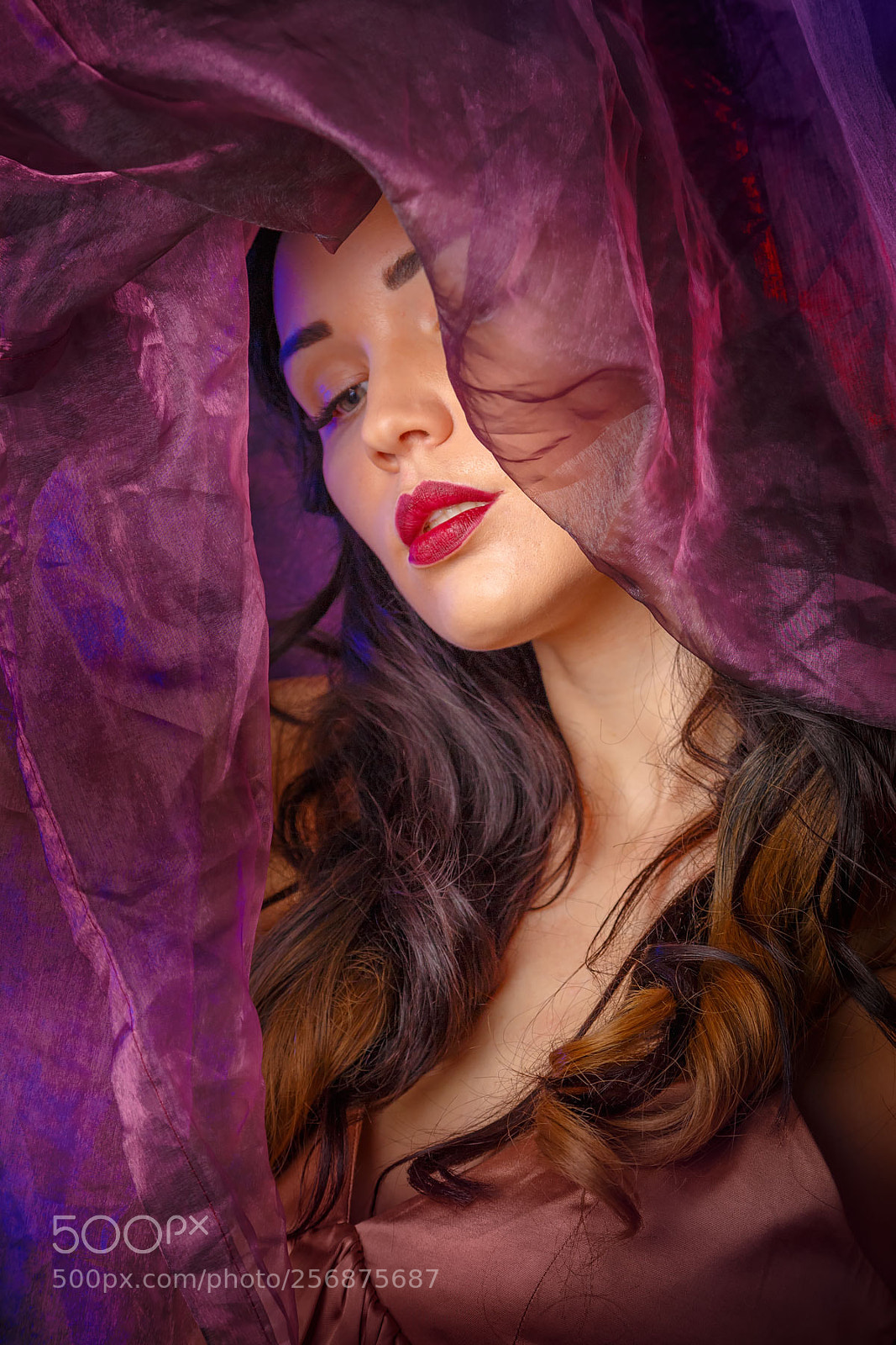 Canon EOS 6D sample photo. Elena. farbe flieder. photography