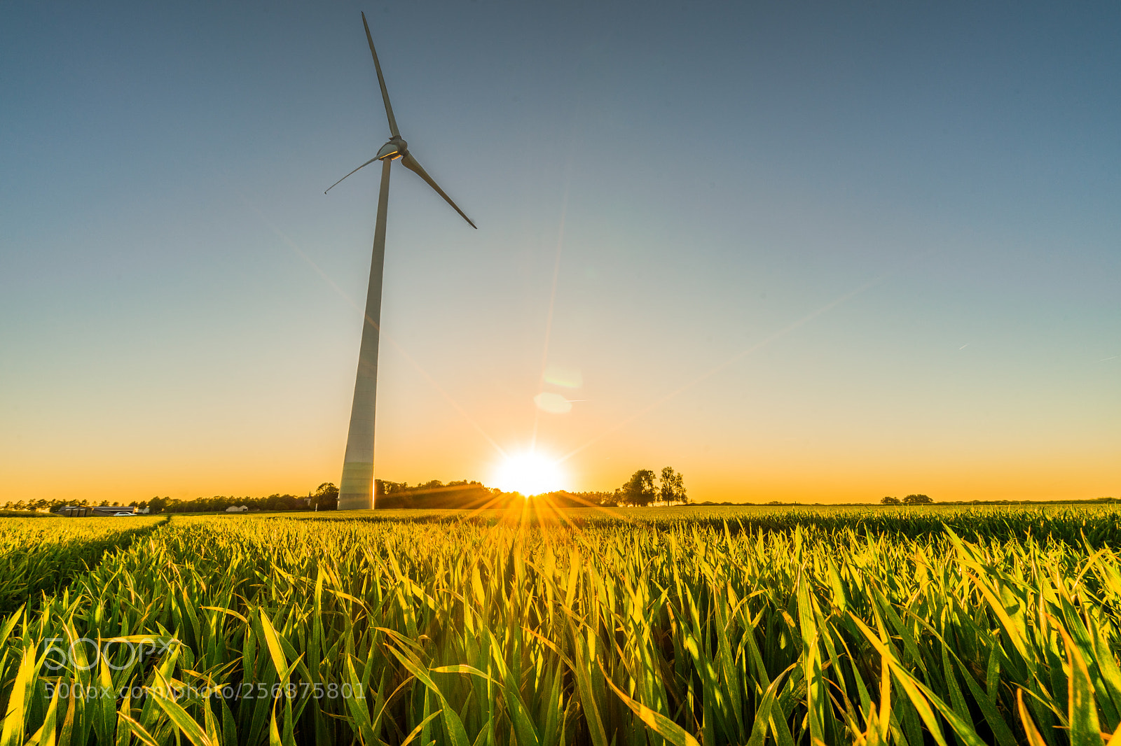 Sony a7 sample photo. The sun goes down photography