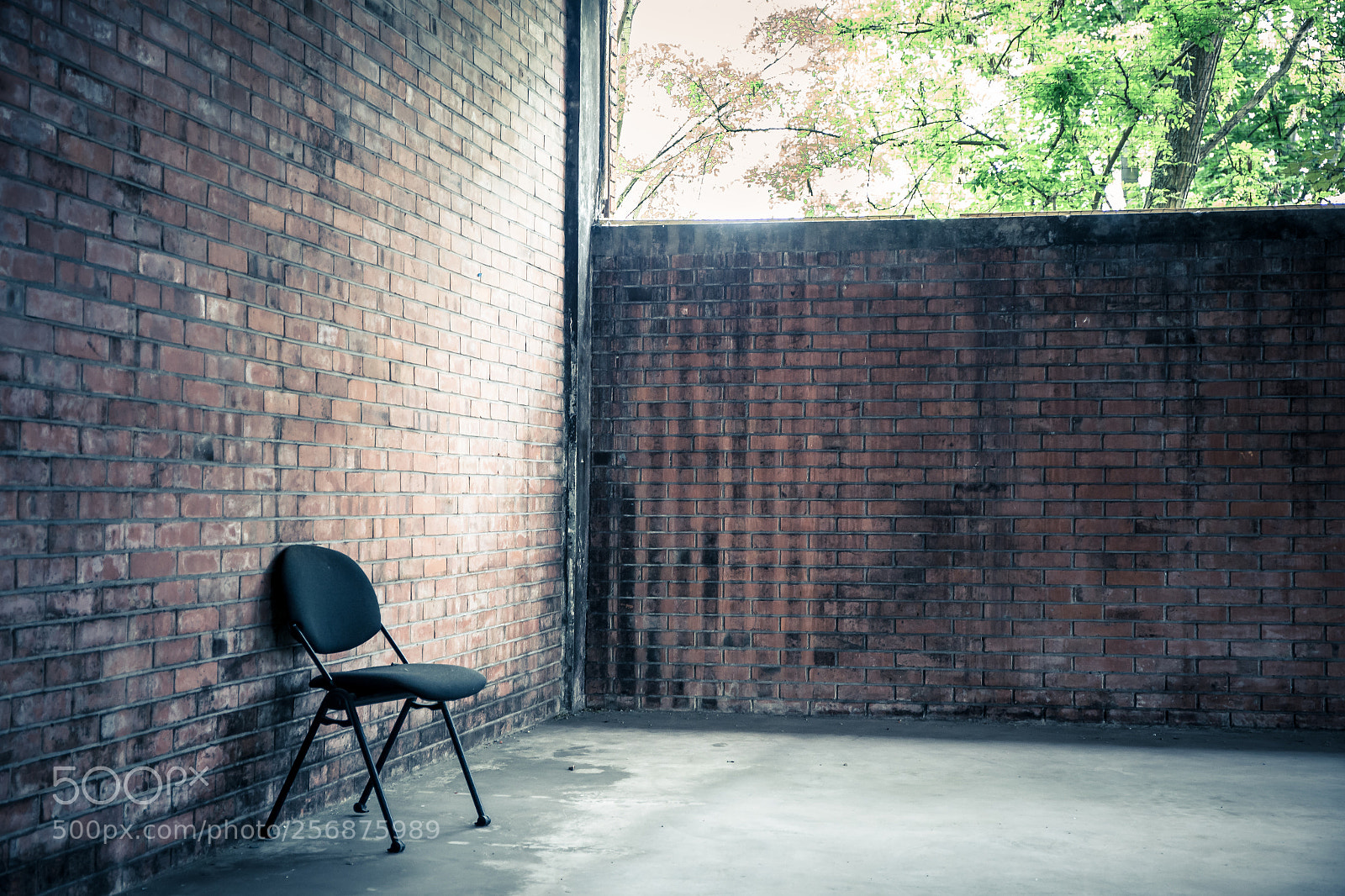 Canon EOS 6D sample photo. The chair... photography