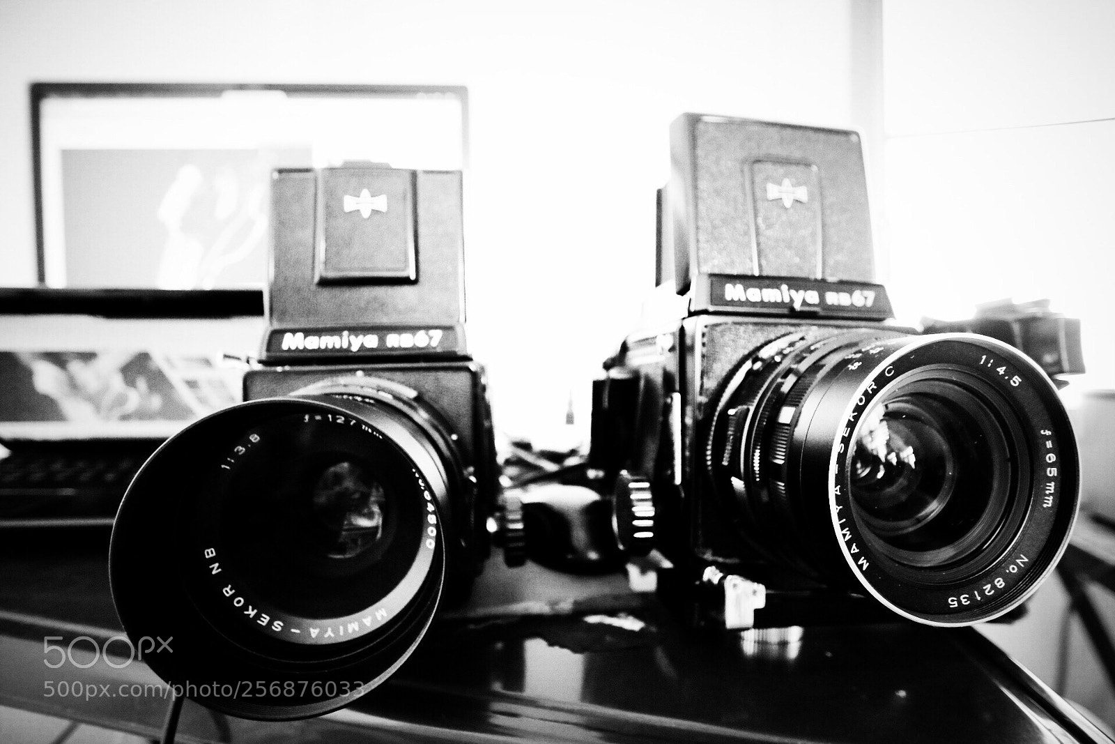 Canon EOS 80D sample photo. Double trouble  photography