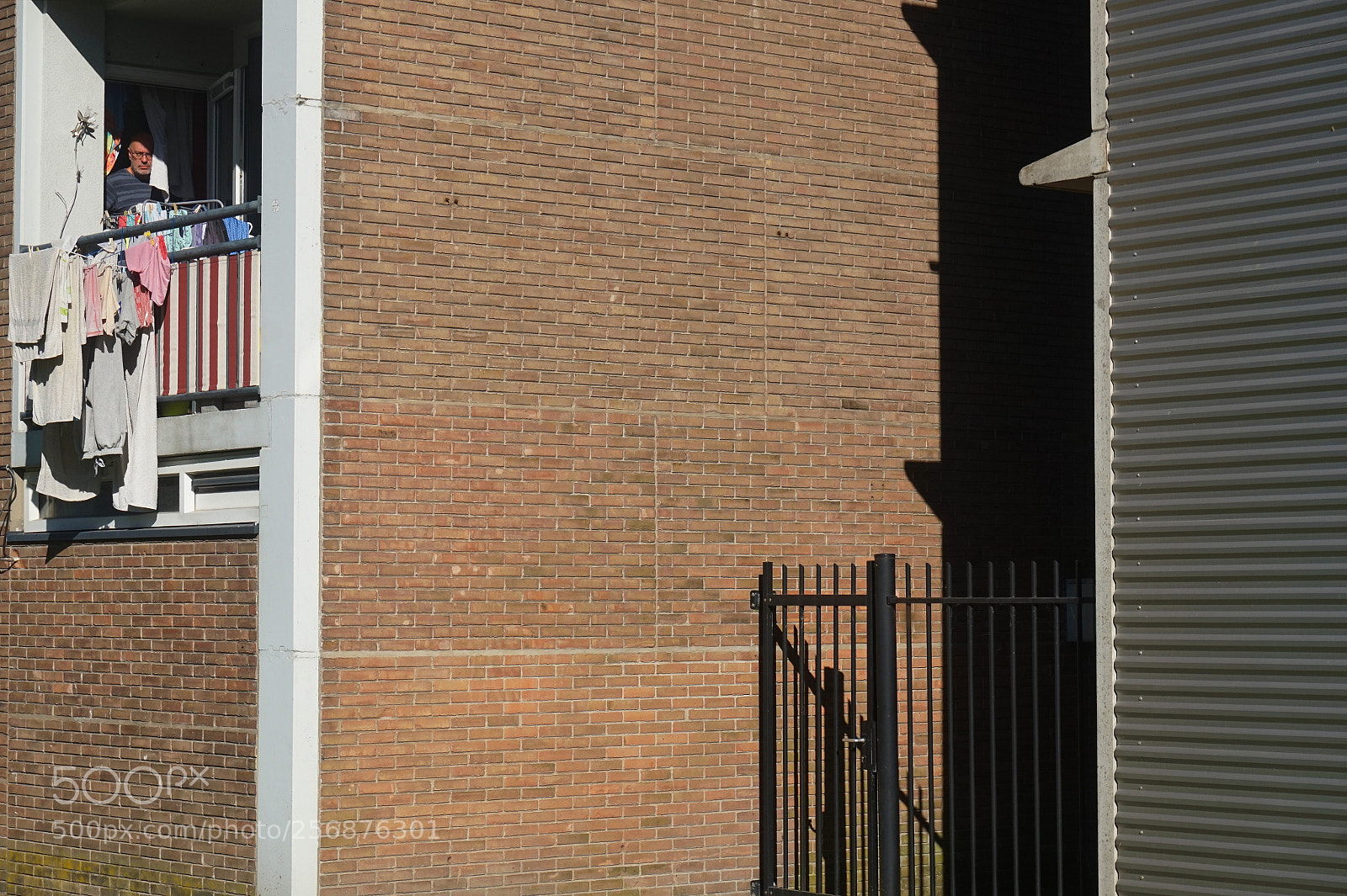 Sony Alpha a5000 (ILCE 5000) sample photo. Untitled photography