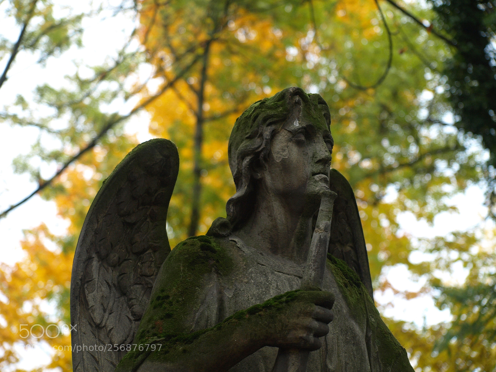 Olympus E-510 (EVOLT E-510) sample photo. Angel photography