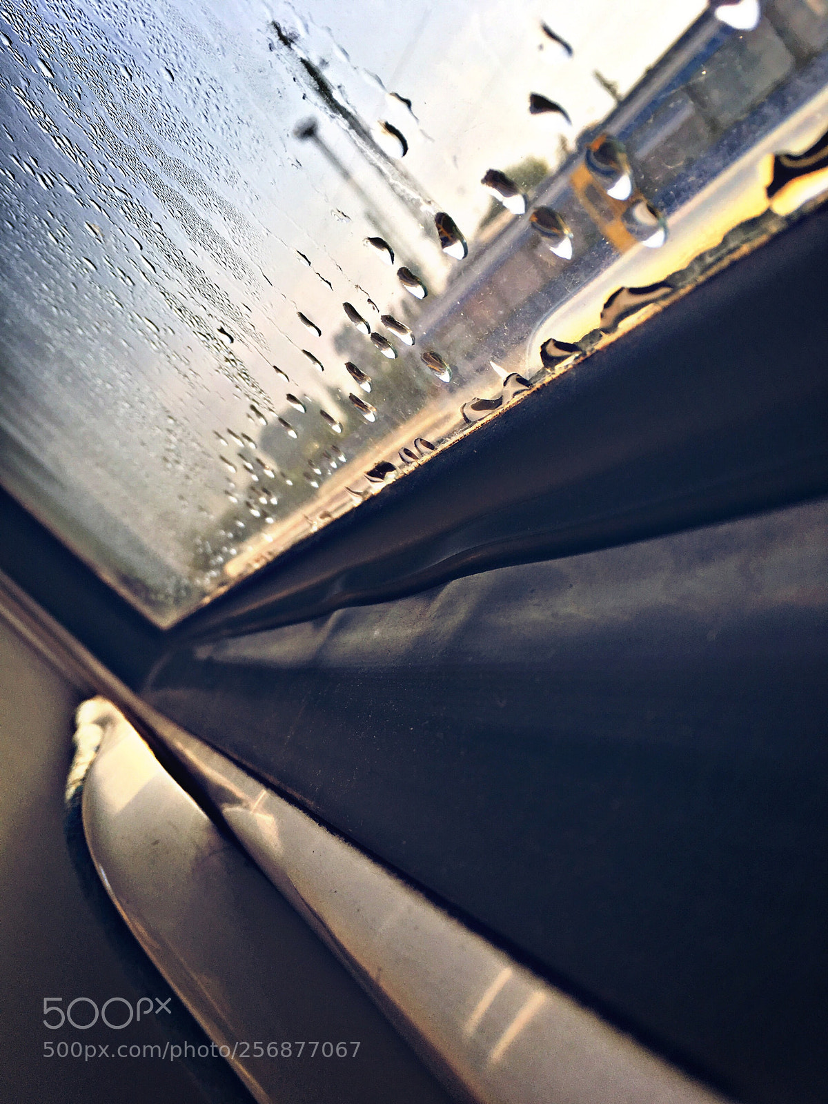 Apple iPhone SE sample photo. Untitled photography