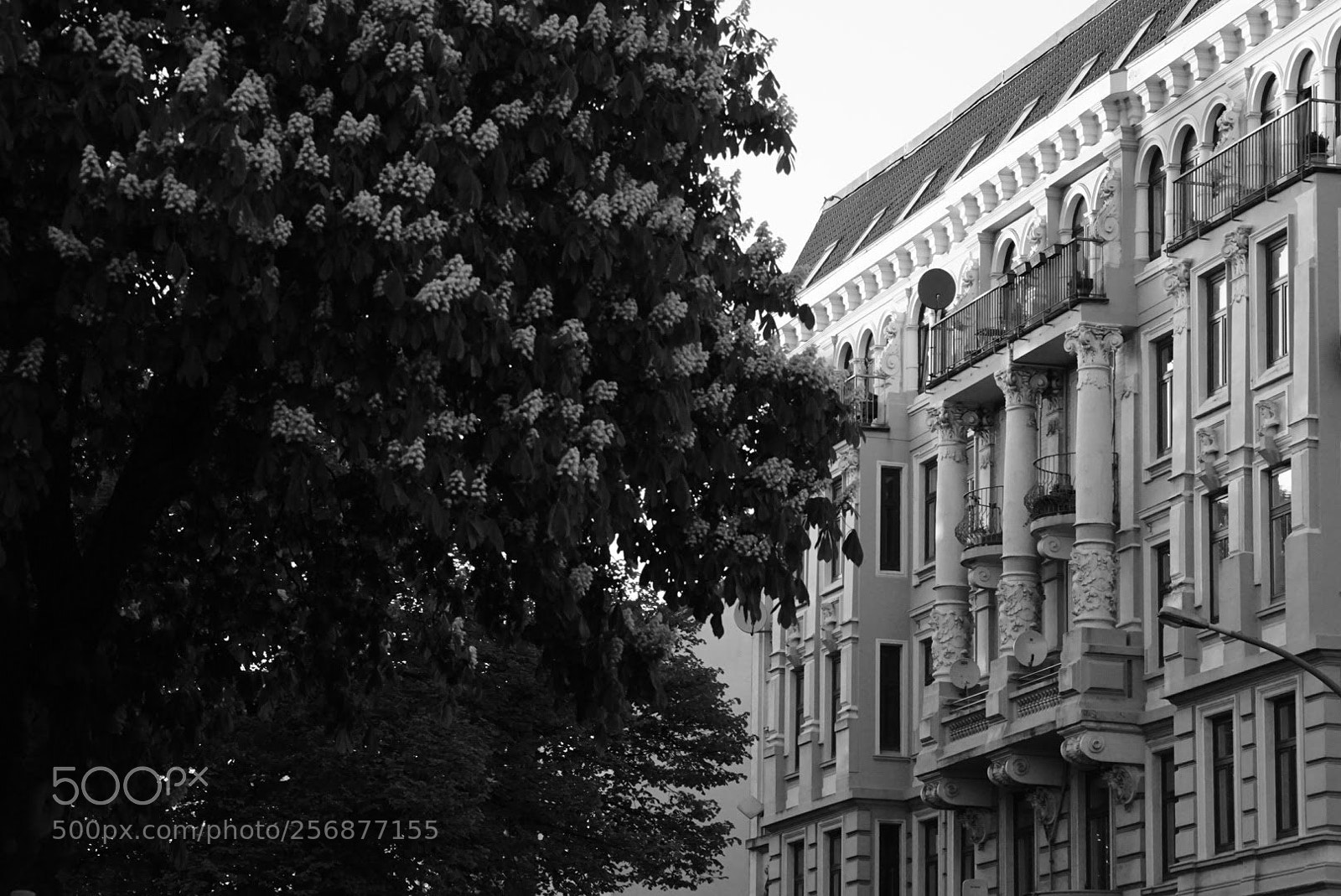 Sony a6000 sample photo. Architecture photography