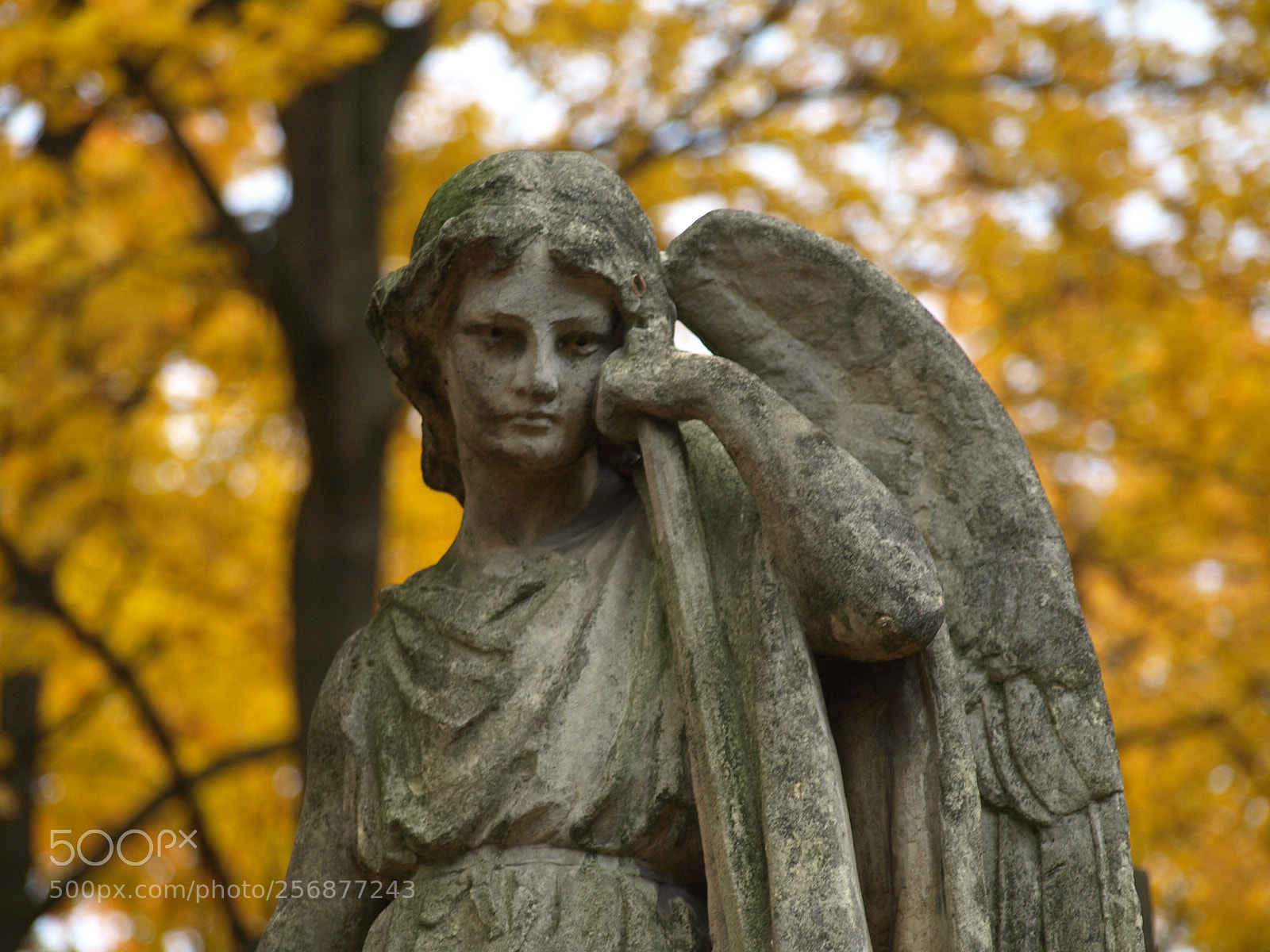 Olympus E-510 (EVOLT E-510) sample photo. Angel photography