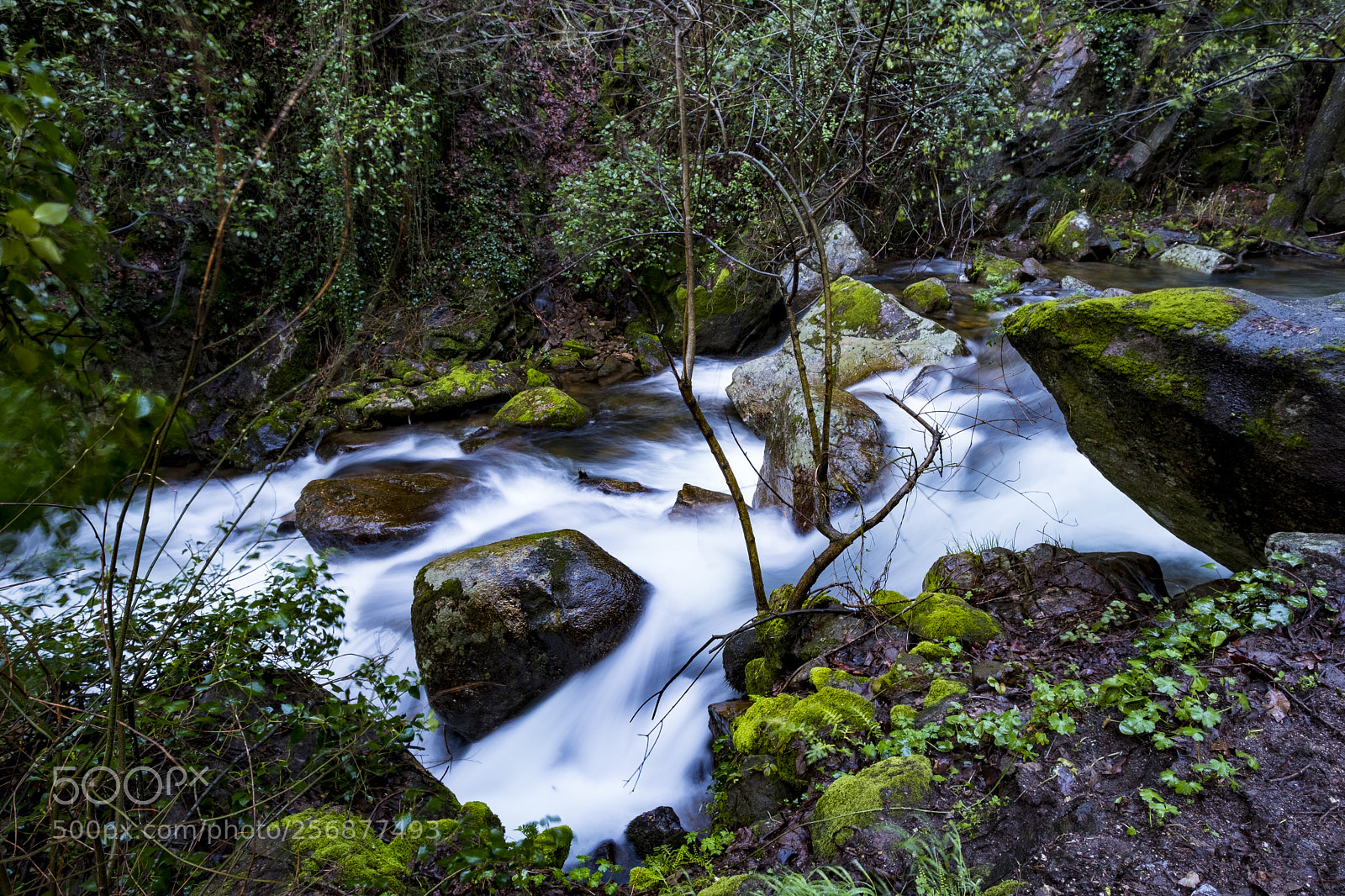 Fujifilm X-T2 sample photo. River in spain photography
