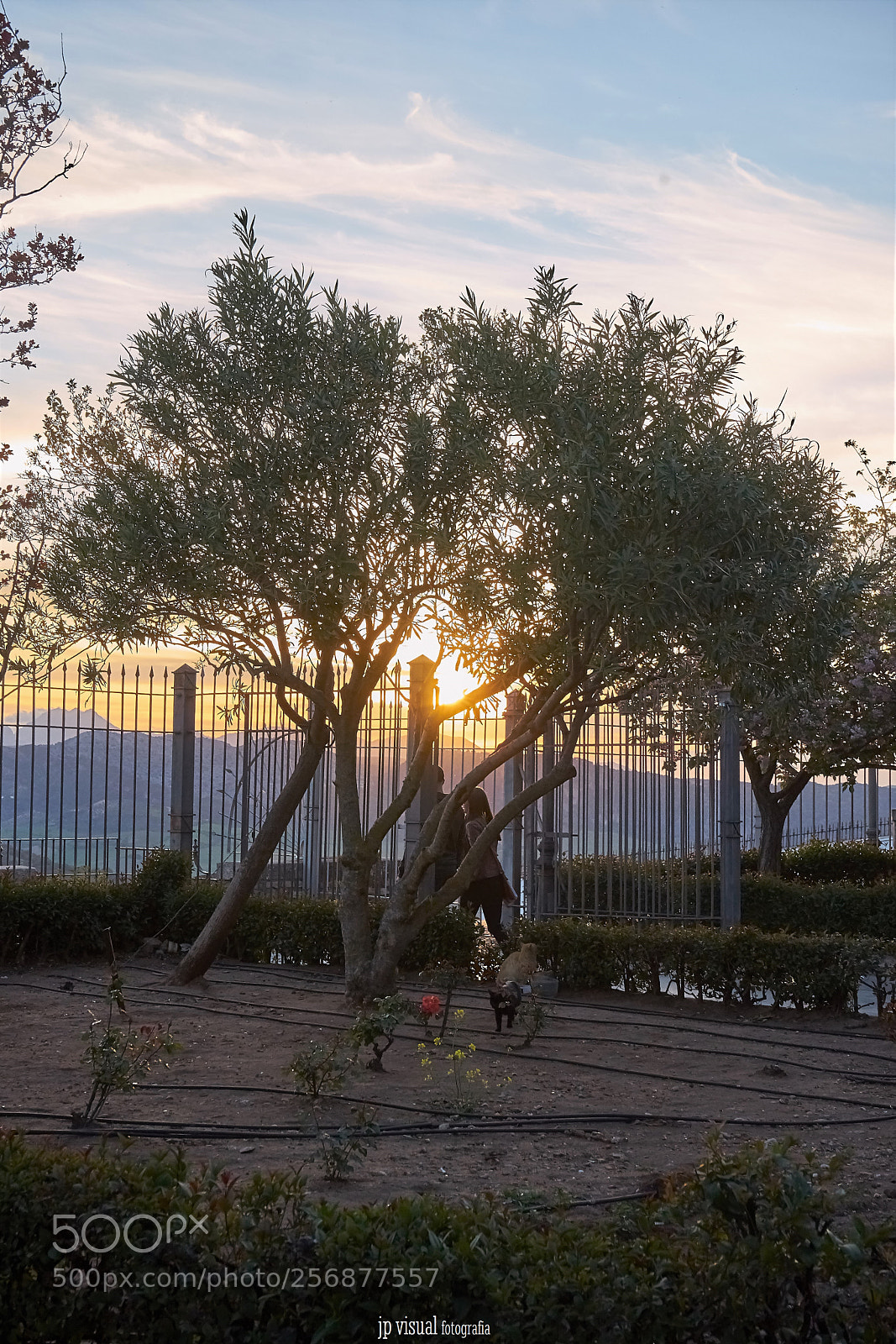Sony a7 II sample photo. Romantic place photography