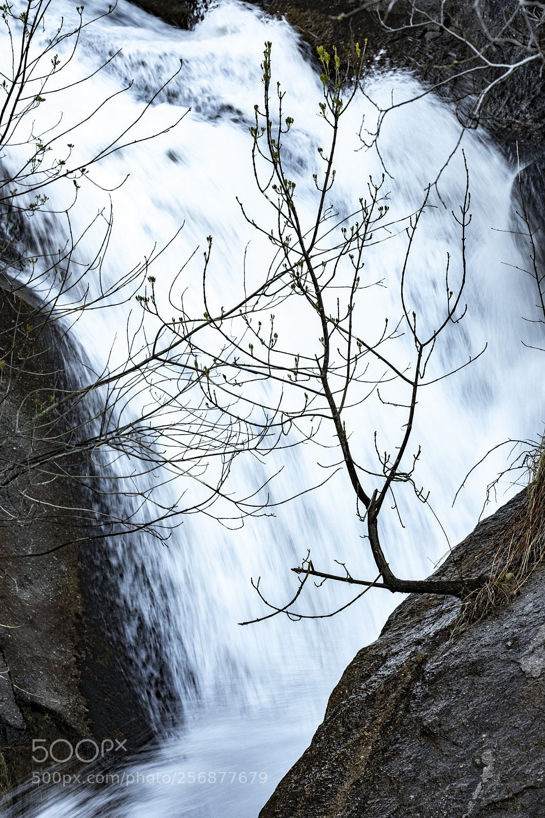 Fujifilm X-T2 sample photo. River in spain photography