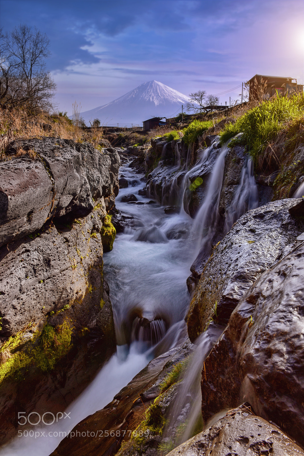 Nikon D810 sample photo. Shibakawa falls,japan photography