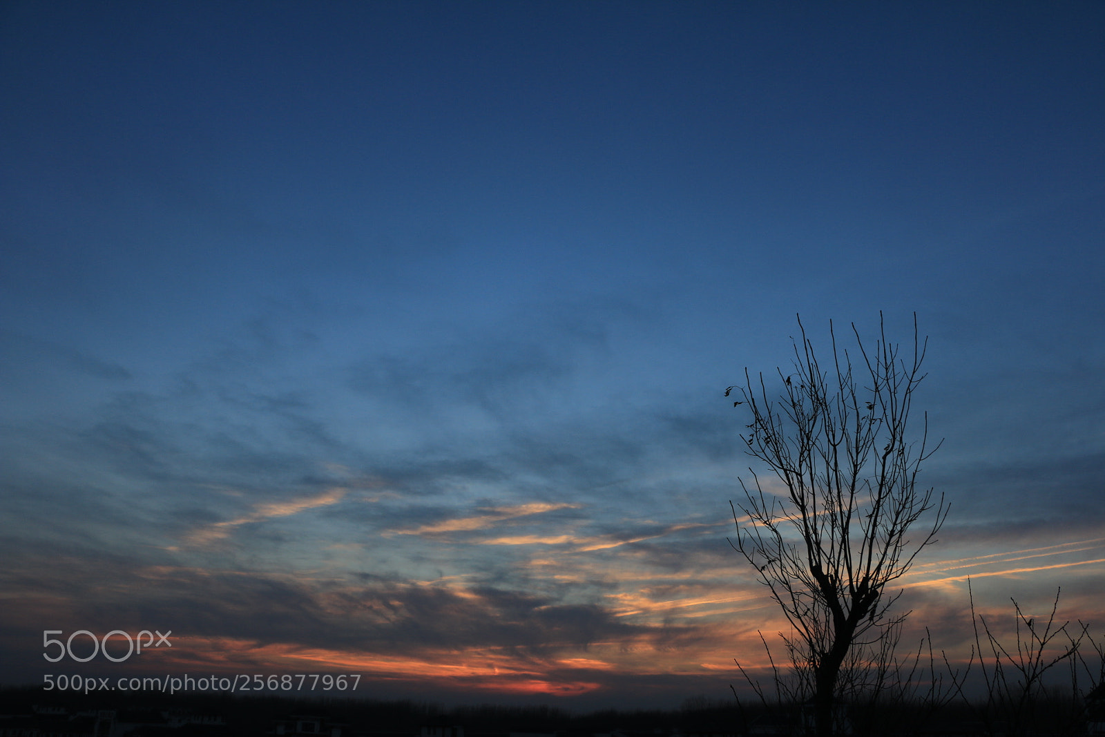 Canon EOS 70D sample photo. Untitled photography