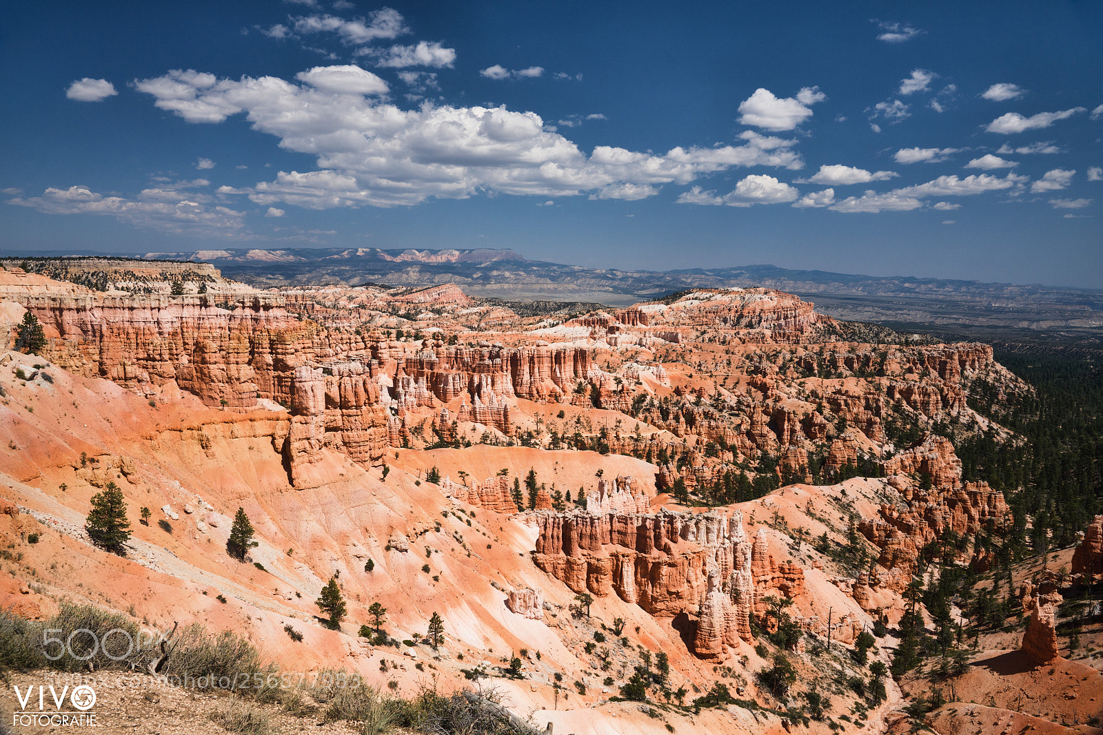 Sony a99 II sample photo. Bryce national park photography