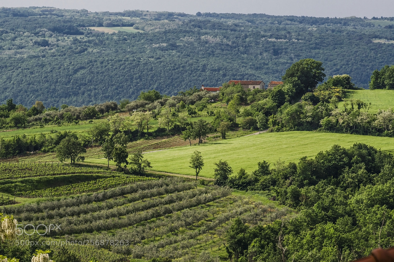 Nikon D7000 sample photo. Spring landscape photography
