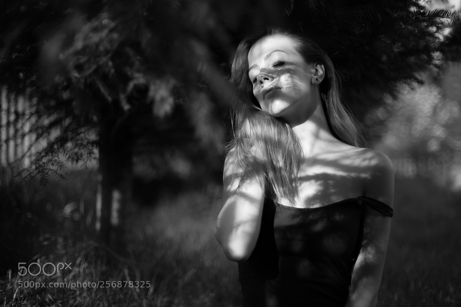 Canon EOS 6D sample photo. Untitled photography